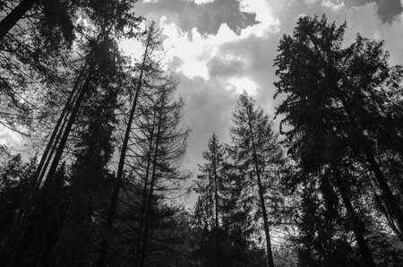 The Silent Struggles of a Mother Living with Depression