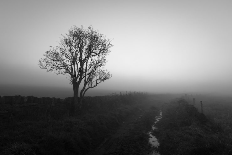 A Letter to Myself: Embracing the Journey of&nbsp;Healing