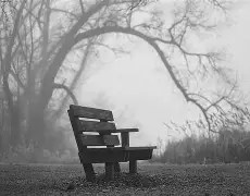 Reflections on My Journey with Depression