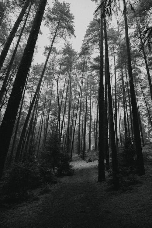 Reflections on Grief and&nbsp;Healing